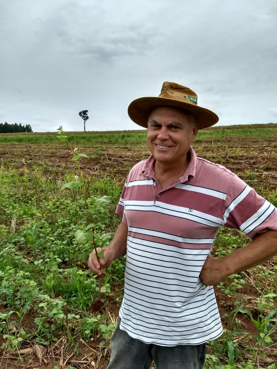 Agricultor paranaense Estanislau Bassan, da região de Cafezal do Sul (PR) - Divulgação